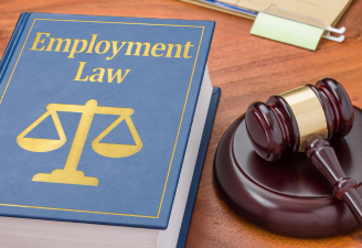 Employment Law Cases